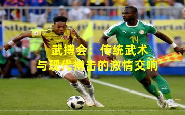  武搏会：传统武术与现代搏击的激情交响