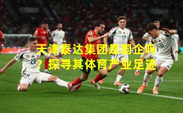 天津泰达集团是国企吗？探寻其体育产业足迹