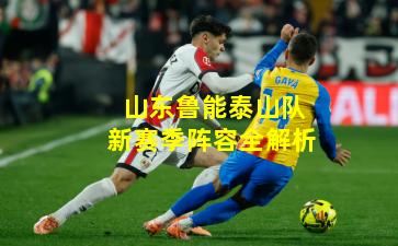 山东鲁能泰山队新赛季阵容全解析