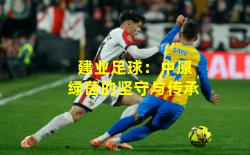 建业足球：中原绿茵的坚守与传承