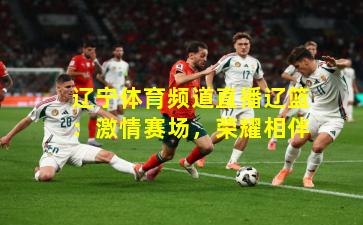 辽宁体育频道直播辽篮：激情赛场，荣耀相伴